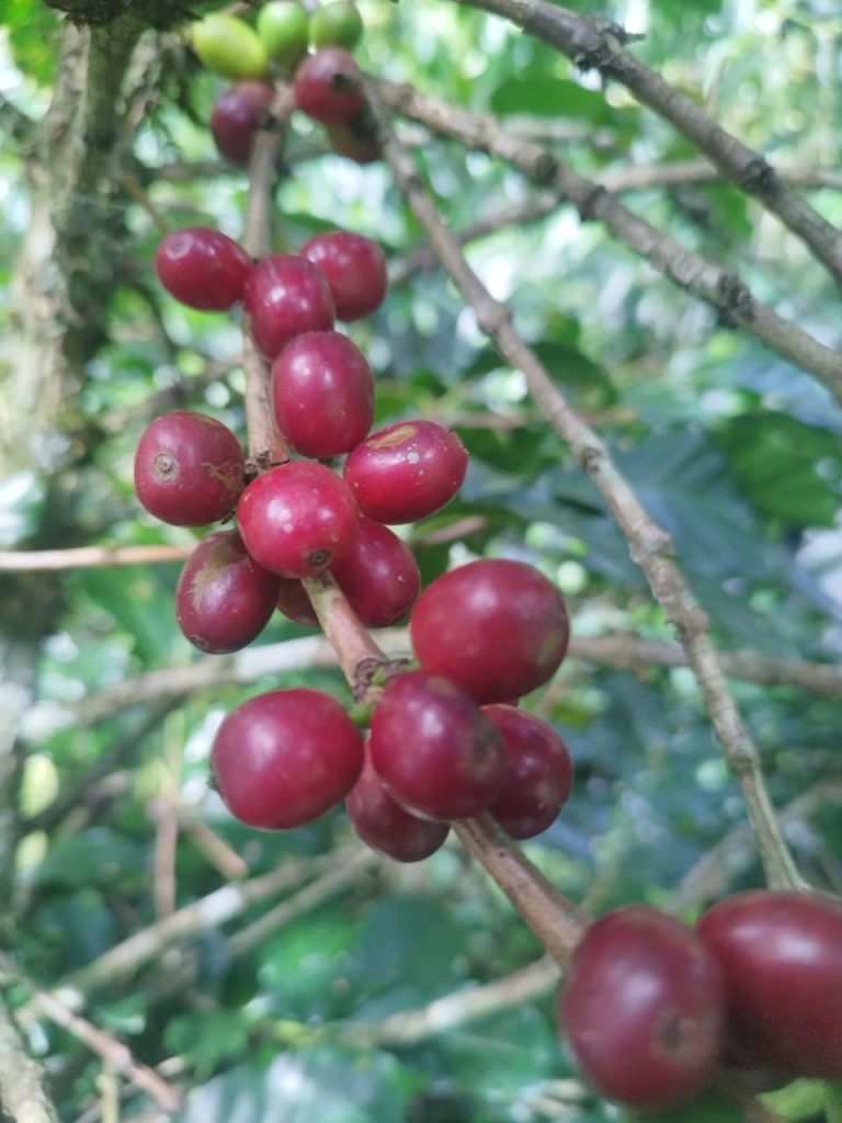 2_WhatsApp Image 2025-08-29 at 9.41.28 PM