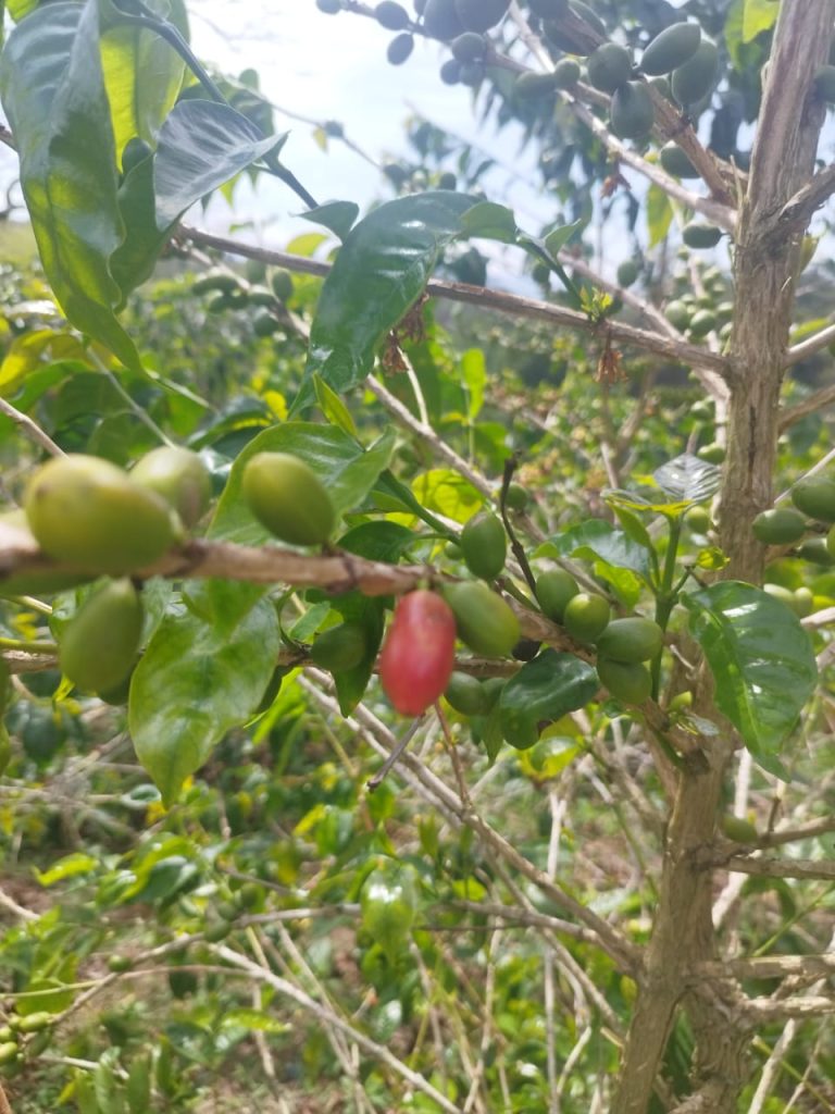 4_WhatsApp Image 2025-08-29 at 9.47.34 PM