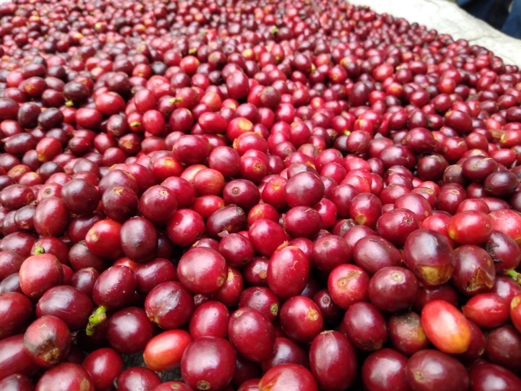 Imagen de WhatsApp 2025-08-27 a las 14.37.14_bcfe58a6